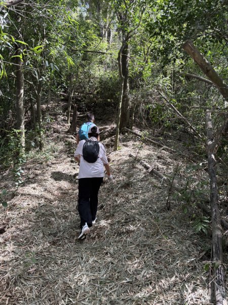 20250816高雄旗尾山2914595