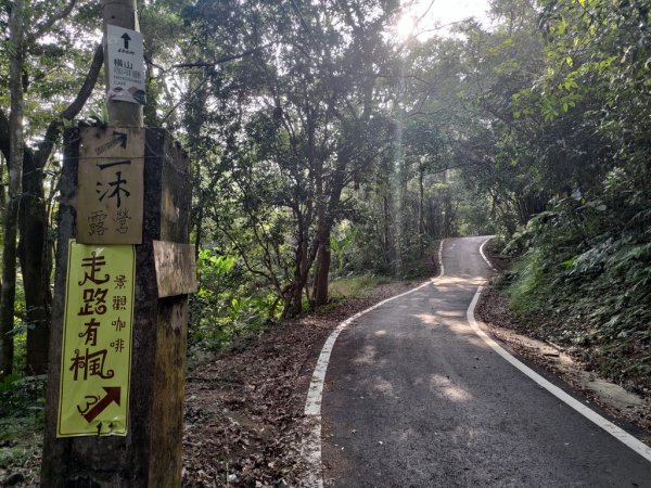 【新竹縣橫山鄉】大崎棟步道2833206