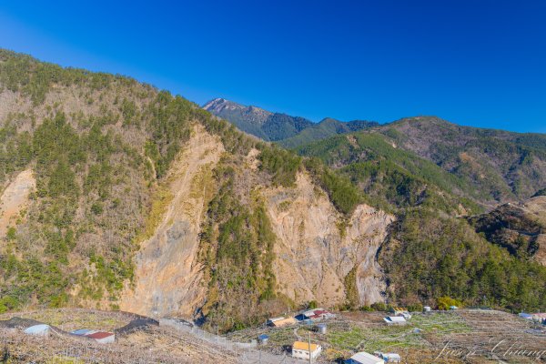 福壽山千櫻園櫻花盛開2724926