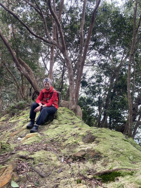 坐公車接駁的神仙縱走2707429