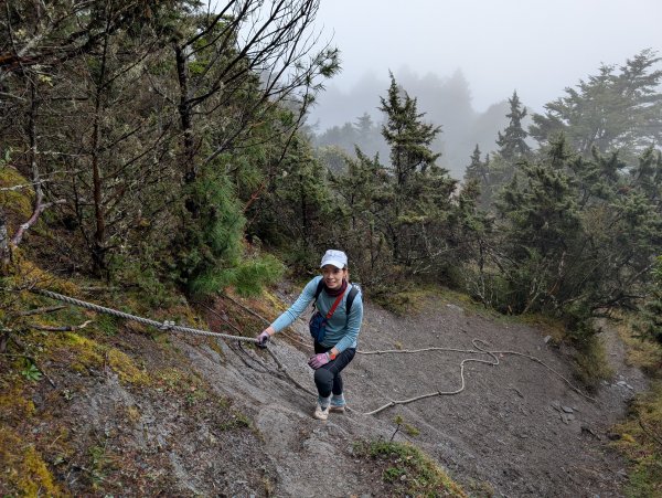 濛濛霧雨之關山補考行2879571