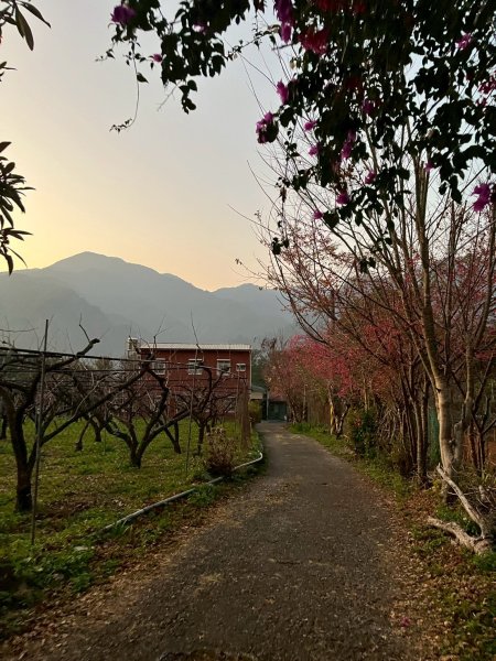 2026/02/08馬崙山3008167