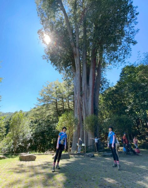 【台中和平】雪山神木步道x小雪山天池步道2933119