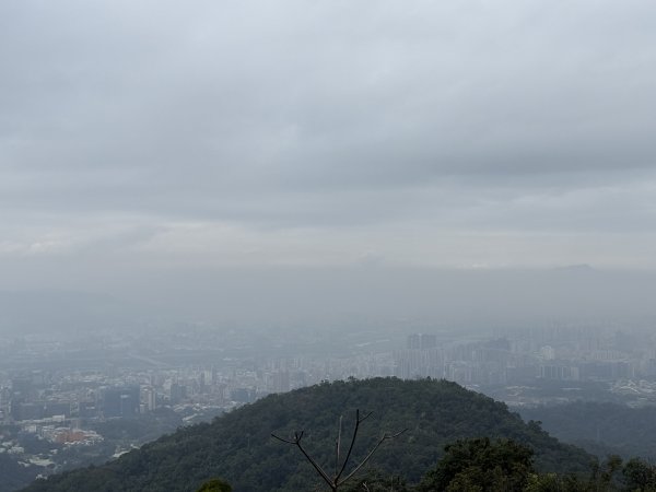 1150206天上山及硬漢嶺2999155