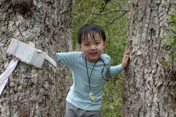 阿興阿賢苗栗虎山1298132