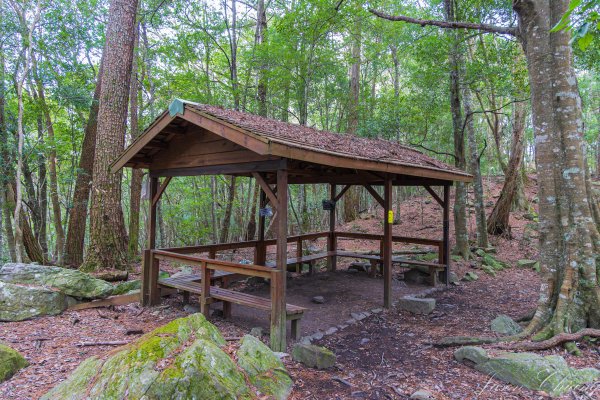 谷關七雄_波津加山2977578