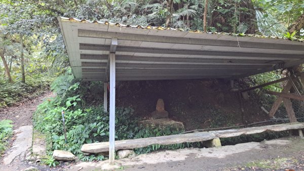 二格山登山步道草湳線2574077