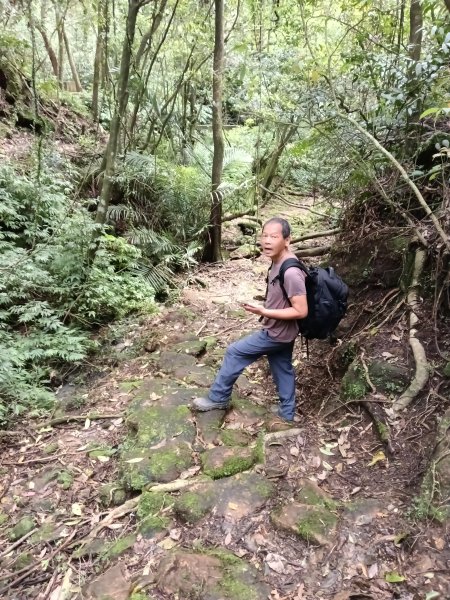 蛇子形古道+柴寮古道2754249