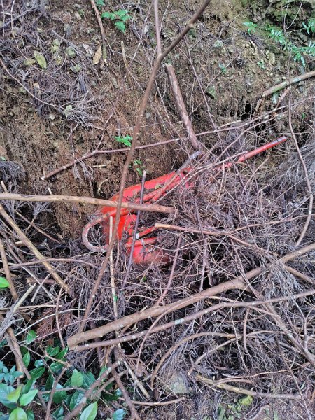 長壽山、肥崠山、醜崠山、大崠山、大崠山經建版2931551