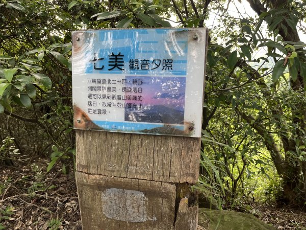 [山頂鳥40周年會員大縱走-14/15] 2024_0804 劍潭山親山步道2566173