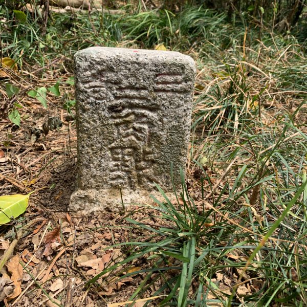 20250404屏東北獅子頭山-霧里乙山2757391