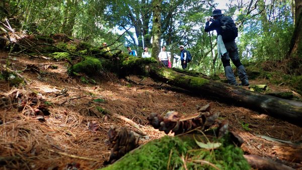 悠遊高山與中級山間的山旅健行在塔塔加玉山前峰及鹿林麟趾山1359922