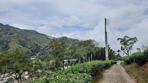 20240523嘉義梅山梨子腳山-太平老街-太平雲梯吊橋2511297