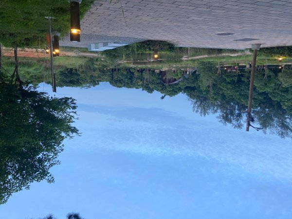 霄裡好風光2833546