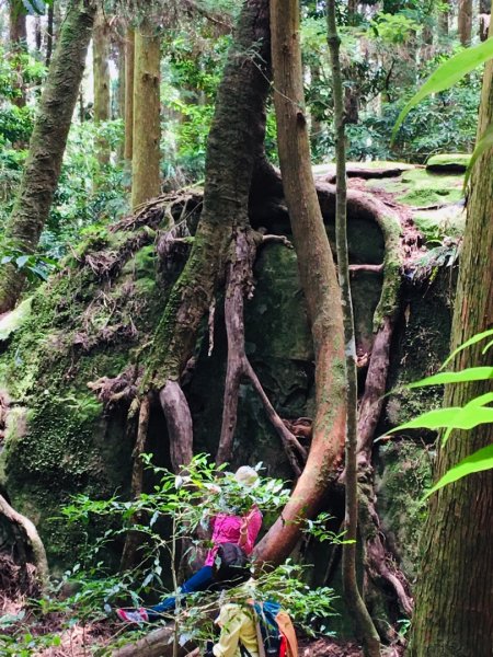 1090704加里山1026196