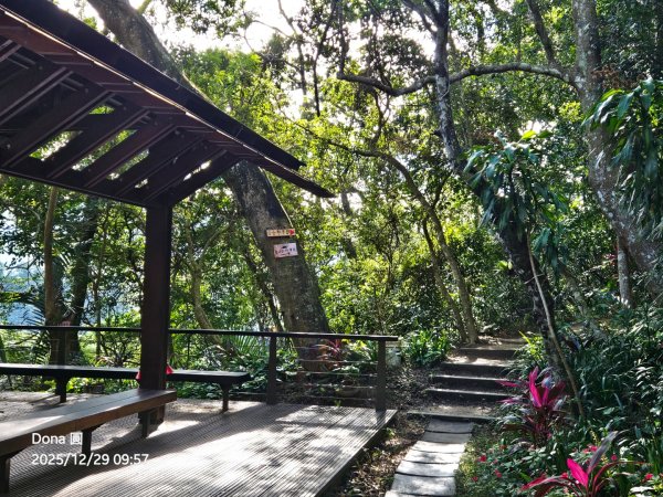 20251229石龜坑山上白石山下白石埤O走+阿姆坪2976650