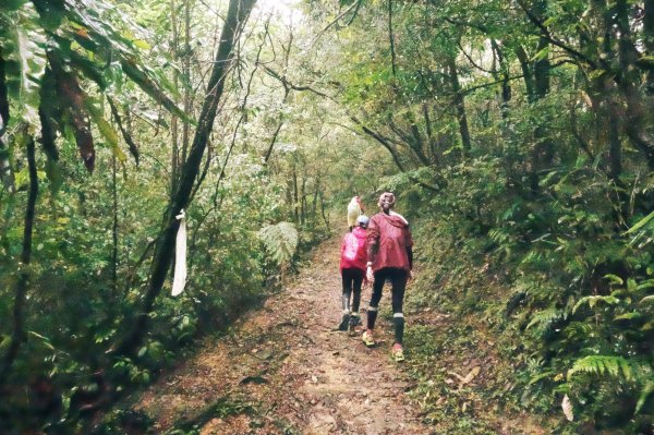 淡蘭古道中路O型988520