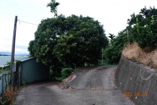 嘉義 大林 中坑山1729794