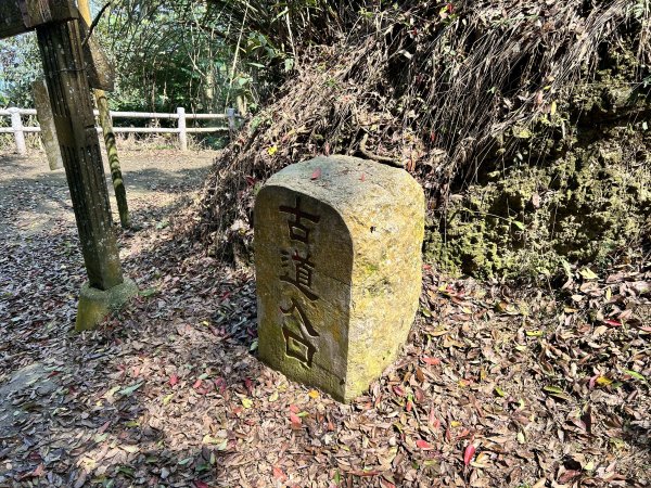 鳴鳳古道3025883