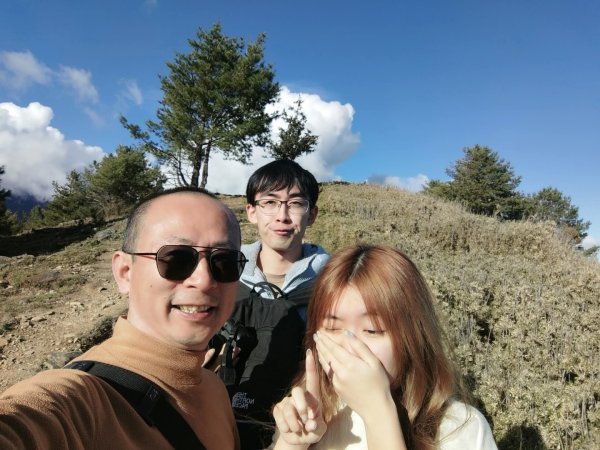 1141116麟趾山3098567