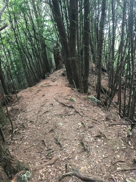 大雪山林道船型山鞍馬山537498