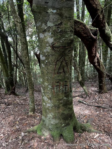 民都有山就是漂亮的夏天冷氣房2582228