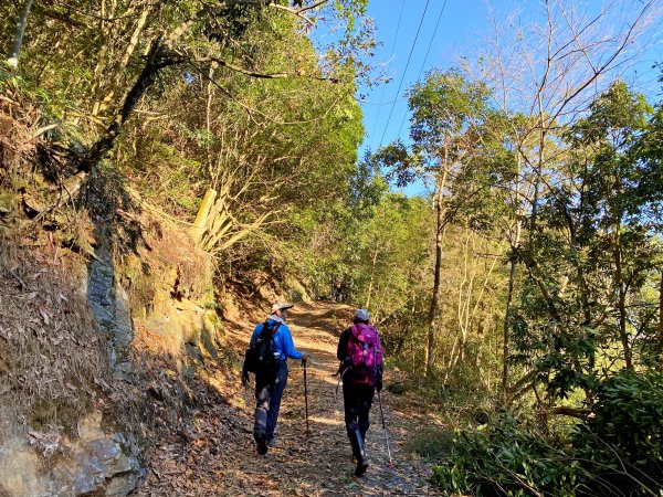 過坑山南峰連走過坑山(再登)1236643