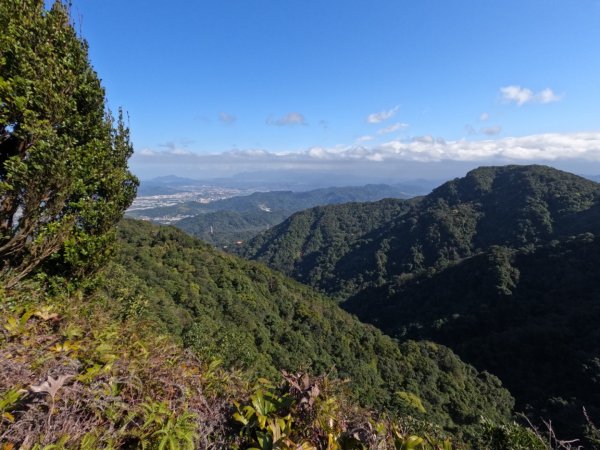 三峽動物縱走-熊龜牛雞鹿 2022.1.311596716