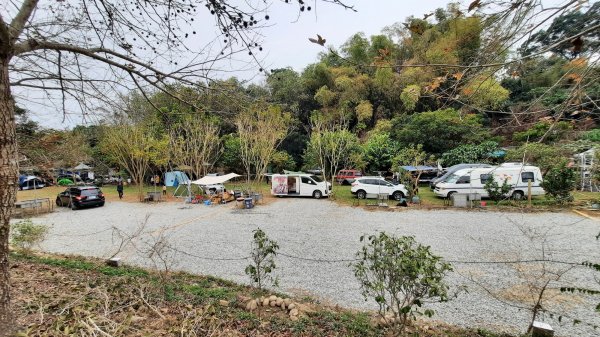 《南投》河岸賞鳥｜竹山下坪步道及自然教育園區O繞202302252042167