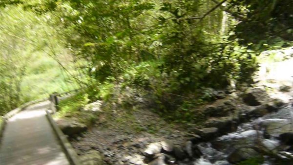 礁溪林美石盤步道643404