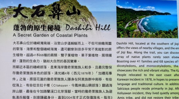 洄瀾東海岸3006757
