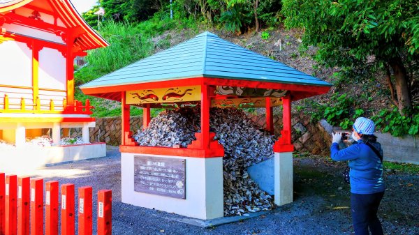 南九州－龍宮神社,長崎鼻,花卉公園,池田湖3063733