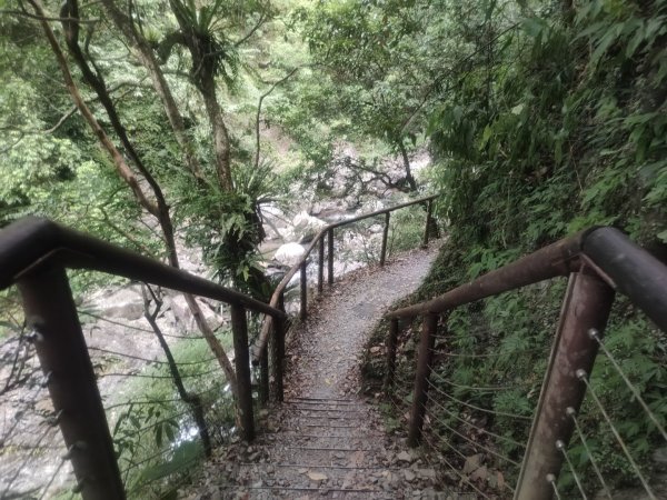 1150728新寮瀑布步道3096888
