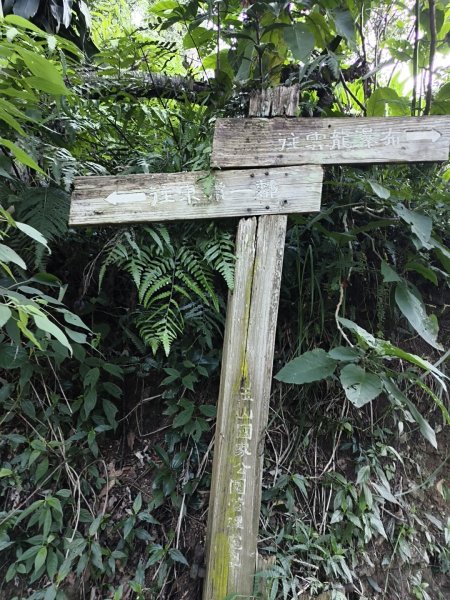 [玉山尋寶任務-07/12] 2025_0824 八通關雲龍瀑布步道2870450