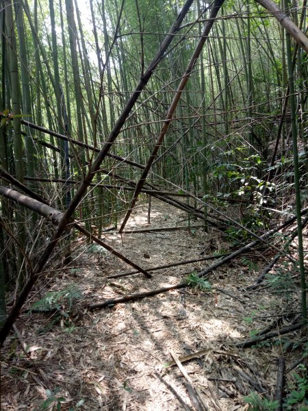 金童山、玉女山、汶水山連走1848032