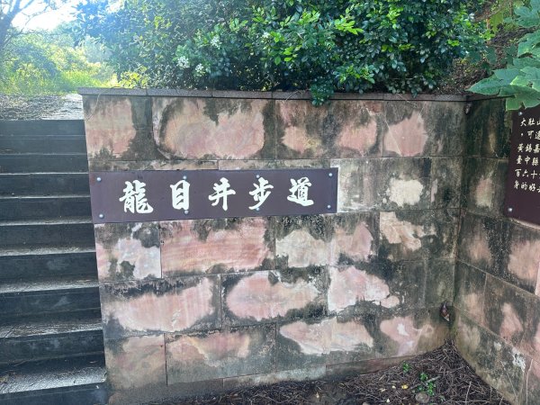 龍目井步道2805239