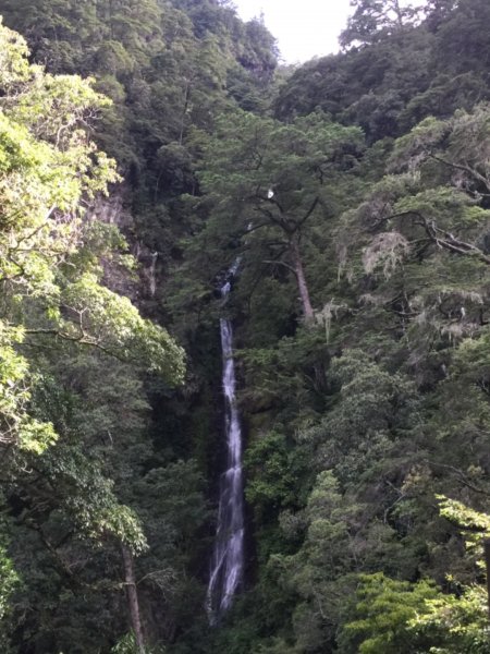 觀霧瀑布步道1018421