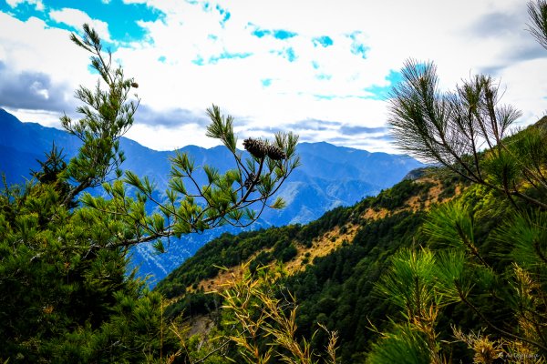 [冬訪大霸聖山岳參行]-榮耀桂冠B'bu' Papak聖稜精選輯2974839