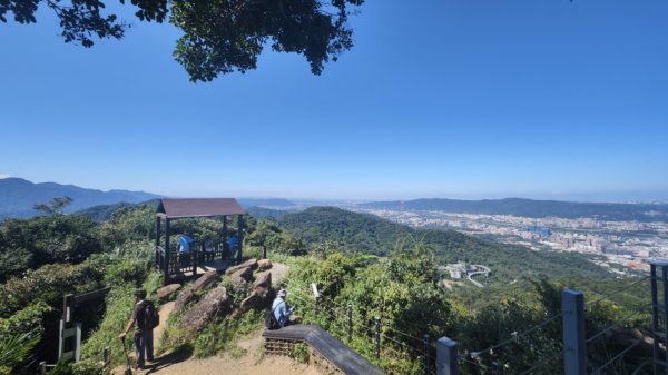 土城六秀2622551