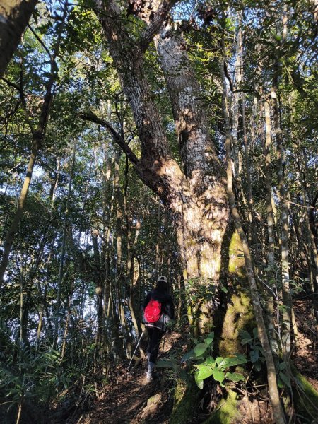 2024.02.01 凌空廊道登煤源山2843948