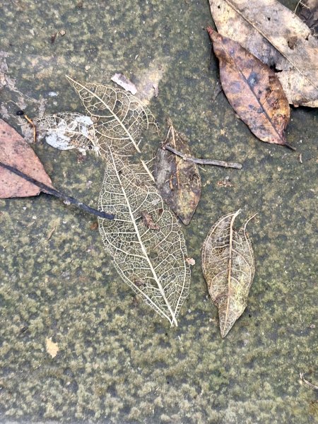 龜山島 401 高地登島2899117