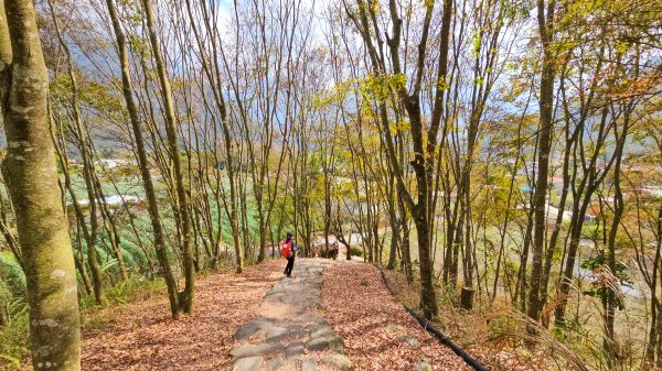 20260127獵人古道3031777