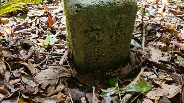20250414八通關越嶺道 單攻東段登山口至瓦拉米2761989