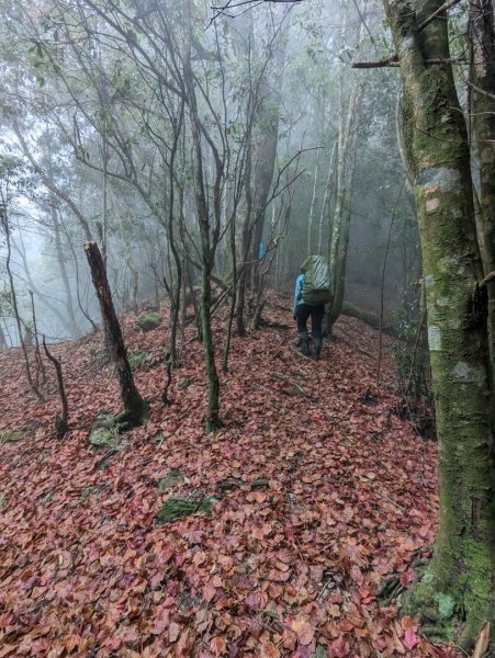 魔界腕山、南面山、獅子尾山2050927