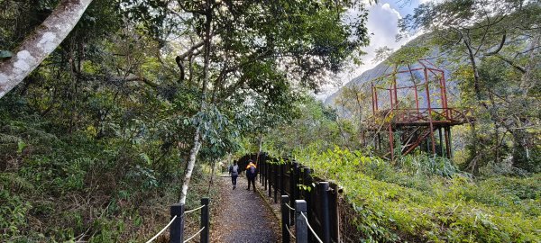 2026/01/01_雪山坑環線步道O型2978098