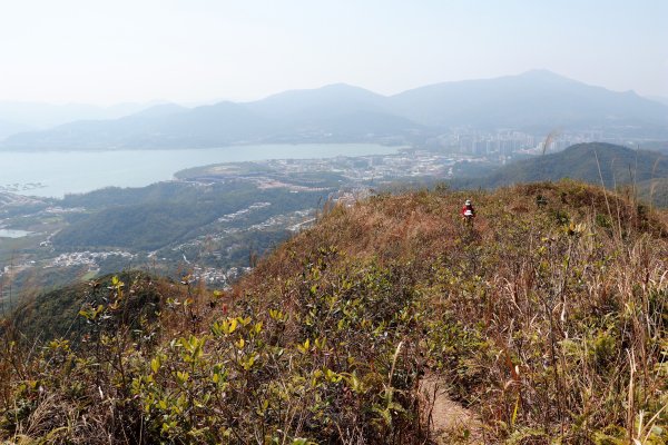 HK - 觀音脊、八仙嶺1465871