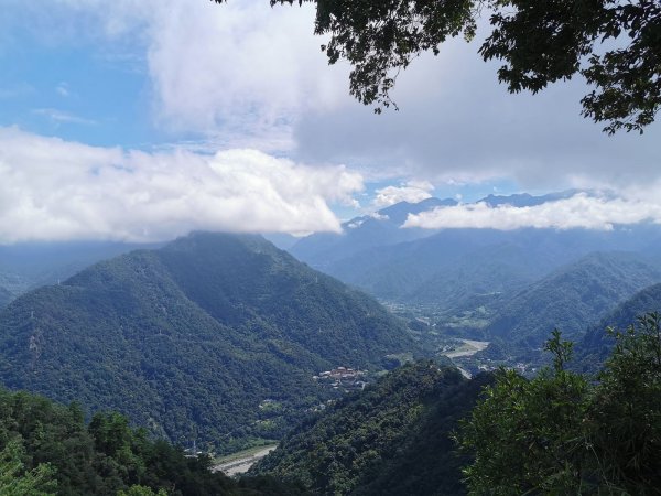 白毛、馬崙山-崇敬的巨木-五葉松媽媽1085793