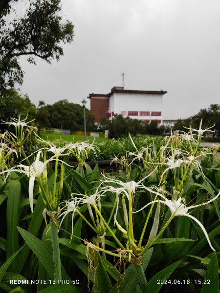 圓山花博健走步道、中山區上班族健走步道、臨濟護國禪寺【走路趣尋寶，全臺齊步走】2530374