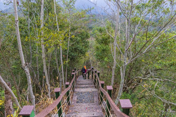 [南投]後尖山3015586