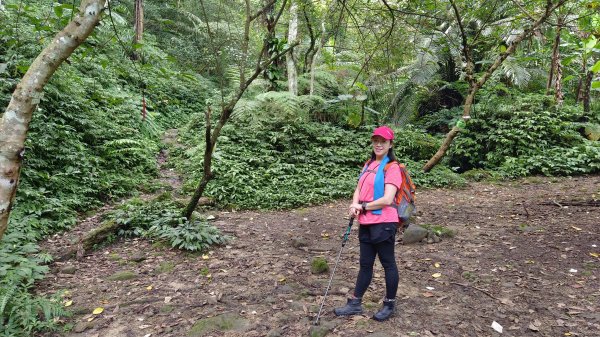 (姨婆趴趴走)第十四集:新竹關西油井窩山、彩和山、高甫山縱走2206435